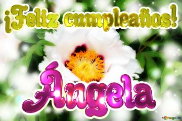 ¡feliz Cumpleaños! ángela  White Nature Flower Background