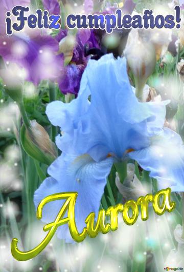 ¡feliz Cumpleaños! Aurora  Inspiración Floral