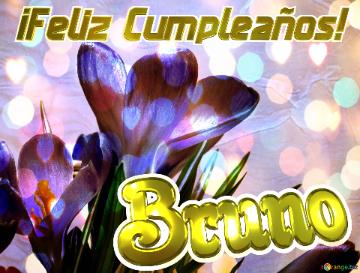 ¡feliz Cumpleaños! Bruno  Aromas Florales