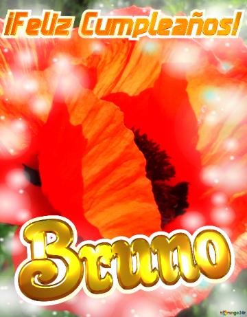 ¡feliz Cumpleaños! Bruno  Explosión De Colores