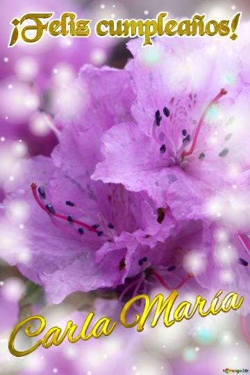 ¡feliz Cumpleaños! Carla María Pétalos De Ensueño