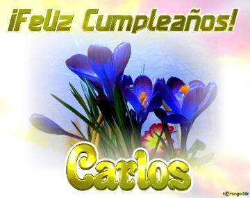 ¡feliz Cumpleaños! Carlos  Flores En El Sol