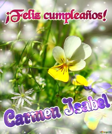 ¡Feliz cumpleaños! Carmen Isabel 