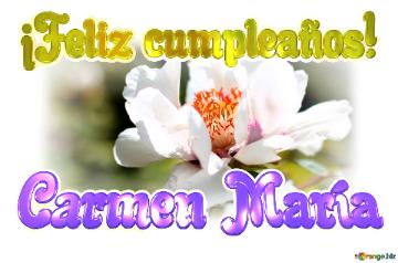 ¡feliz Cumpleaños! Carmen María  Un Universo De Detalles: La Perfección De Las ...