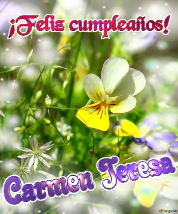 ¡Feliz cumpleaños! Carmen Teresa 