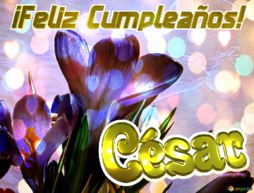 ¡feliz Cumpleaños! César  Aromas Florales