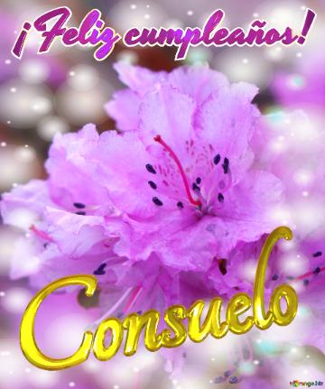 ¡feliz Cumpleaños! Consuelo Emoción Floral