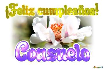 ¡Feliz cumpleaños! Consuelo 