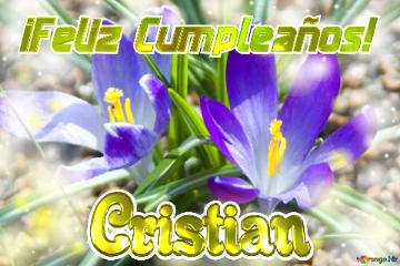 ¡feliz Cumpleaños! Cristian  Jardín De Ensueño
