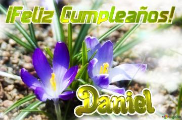 ¡feliz Cumpleaños! Daniel  Frescura De Primavera