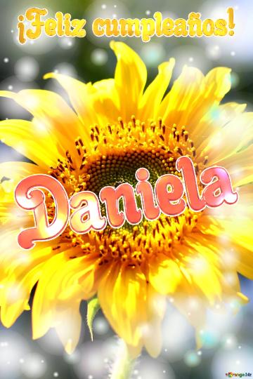 Daniela ¡feliz Cumpleaños! Fondo Para Felicitaciones Girasol