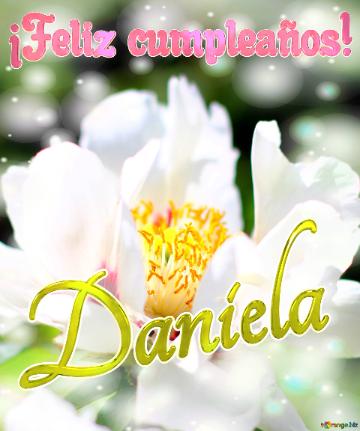¡feliz Cumpleaños! Daniela  La Belleza Efímera De Las Flores Capturada En Una Imagen
