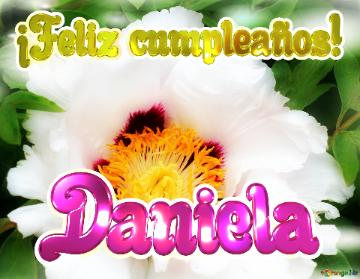 ¡feliz Cumpleaños! Daniela  La Dulzura De La Primavera: Un Fondo Que Te Transporta