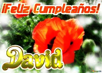 ¡feliz Cumpleaños! David  Jardín De La Felicidad