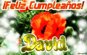 ¡Feliz Cumpleaños! David 
