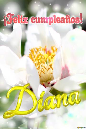 ¡feliz Cumpleaños! Diana  Flores Que Enamoran: Una Oda Al Amor Y La Amistad
