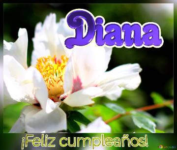 ¡feliz Cumpleaños! Diana  Un Ramo De Felicidad: Regala Flores Con Este Fondo