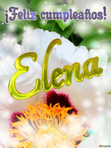 ¡feliz Cumpleaños! Elena  Flores Para El Alma: Un Bálsamo Para Los Momentos Difíciles