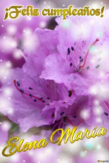 ¡feliz Cumpleaños! Elena María Pétalos De Ensueño