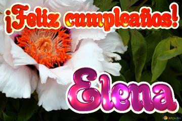 ¡Feliz cumpleaños! Elena 