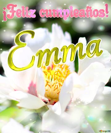 ¡feliz Cumpleaños! Emma  La Belleza Efímera De Las Flores Capturada En Una Imagen