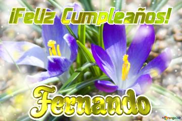 ¡feliz Cumpleaños! Fernando  Jardín De Ensueño