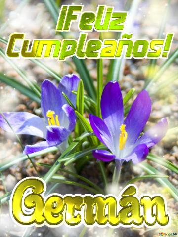 ¡feliz Cumpleaños! Germán Flores Vibrantes
