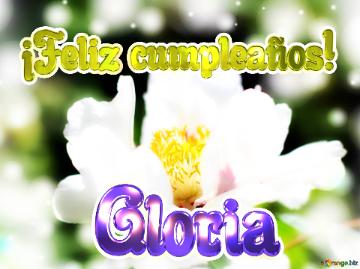 ¡feliz Cumpleaños! Gloria  Flores Que Inspiran: Una Invitación A Detenerse Y Admirar