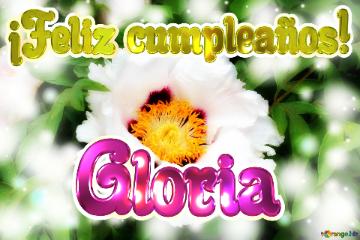 ¡feliz Cumpleaños! Gloria  White Nature Flower Background