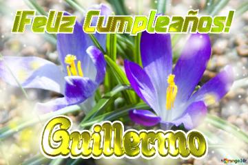 ¡feliz Cumpleaños! Guillermo  Jardín De Ensueño