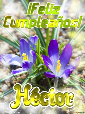      ¡feliz  Cumpleaños! Héctor  Flores Vibrantes