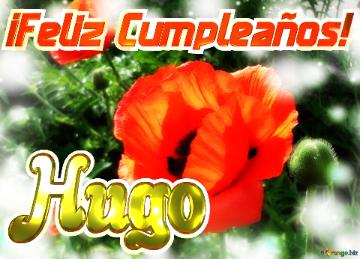¡feliz Cumpleaños! Hugo  Jardín De La Felicidad