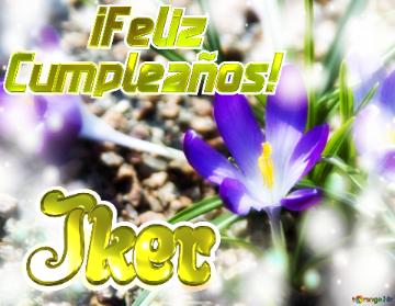      ¡feliz  Cumpleaños! Iker  Paisaje De Flores