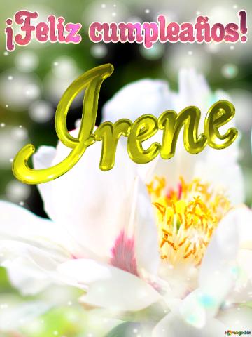 ¡feliz Cumpleaños! Irene  Flores De La Primavera: Una Explosión De Color Para Celebrar