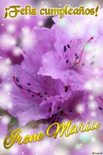 ¡feliz Cumpleaños! Irene María Pétalos De Ensueño