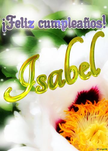 ¡feliz Cumpleaños! Isabel  El Jardín De Los Sueños: Flores Que Nos Invitan A Soñar