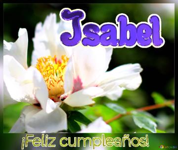 ¡feliz Cumpleaños! Isabel  Un Ramo De Felicidad: Regala Flores Con Este Fondo