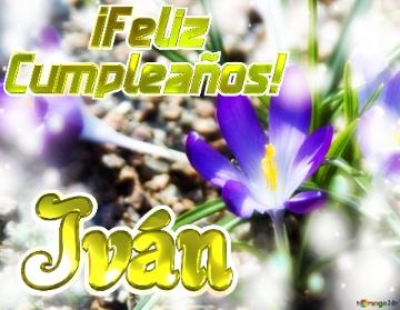      ¡feliz  Cumpleaños! Iván  Paisaje De Flores