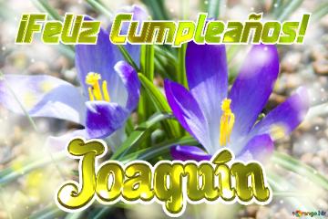 ¡Feliz Cumpleaños! Joaquín 
