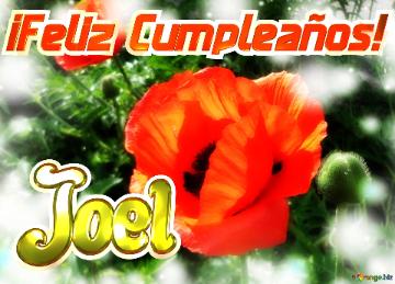¡feliz Cumpleaños! Joel  Jardín De La Felicidad