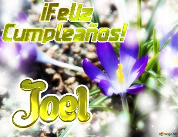      ¡Feliz  Cumpleaños! Joel  Paisaje de Flores