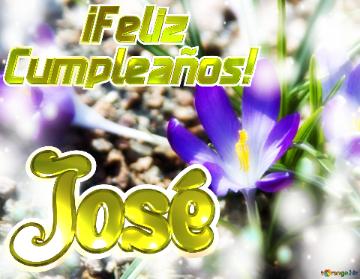      ¡feliz  Cumpleaños! José  Paisaje De Flores
