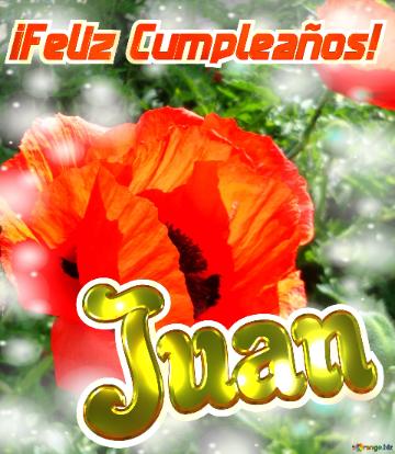 ¡feliz Cumpleaños! Juan  Flores De Amor