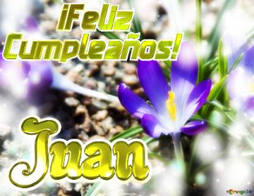      ¡feliz  Cumpleaños! Juan  Paisaje De Flores