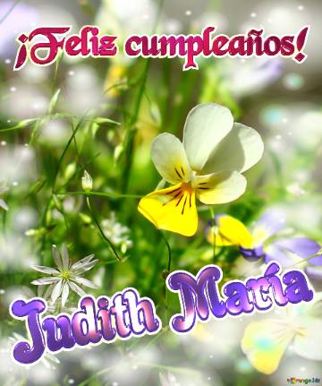 ¡Feliz cumpleaños! Judith María 