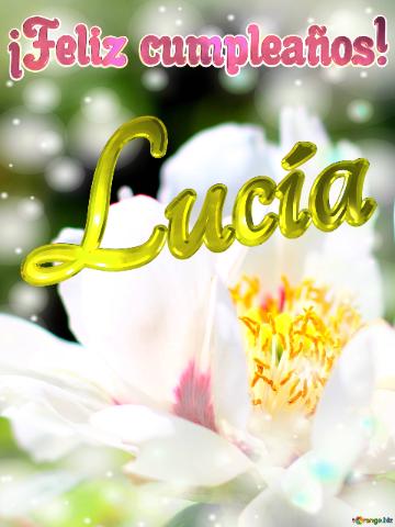 ¡feliz Cumpleaños! Lucía  Flores De La Primavera: Una Explosión De Color Para...