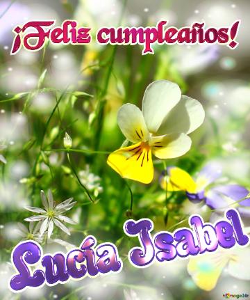 ¡feliz Cumpleaños! Lucía Isabel  Naturaleza En Flor
