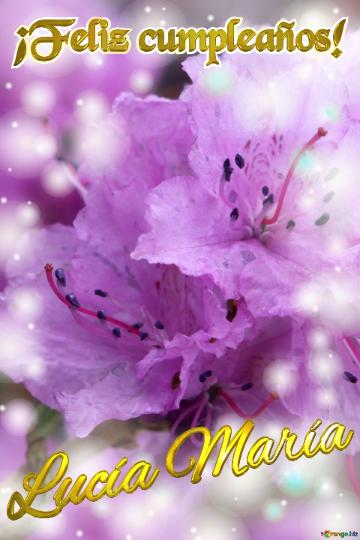 ¡feliz Cumpleaños! Lucía María Pétalos De Ensueño