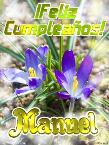      ¡feliz  Cumpleaños! Manuel  Flores Vibrantes