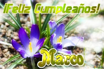 ¡Feliz Cumpleaños! Marco 